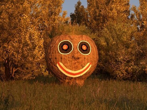 SmileyWood 360.jpg